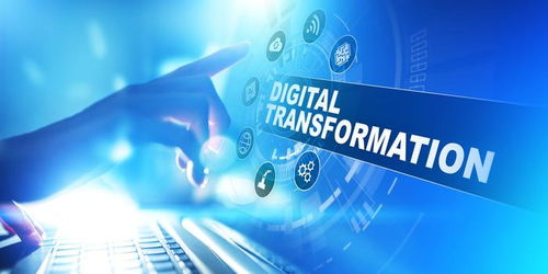 数字变革的双重奏 疫情驱动下的企业转型与消费者体验重构